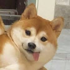 Nguyễn Minh Triết avatar